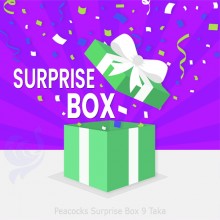 Peacocks Surprise Box 9 Taka