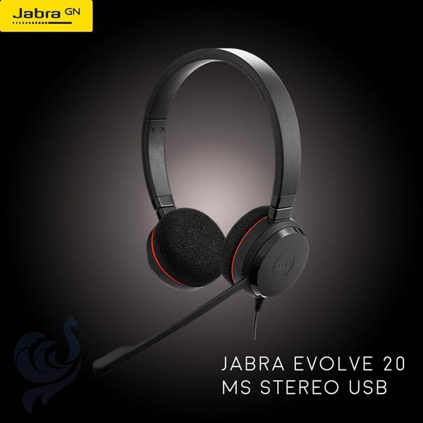 Jabra Evolve 20 MS Wired On Ear Headset with Mic